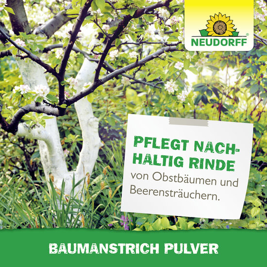 Baumanstrich Pulver Sprechende Bilder Bild 6 Baumanstrich Pulver Sprechende Bilder Bild 6