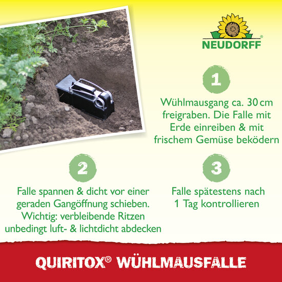 Quiritox WühlmausFalle Sprechende Bilder Bild 5