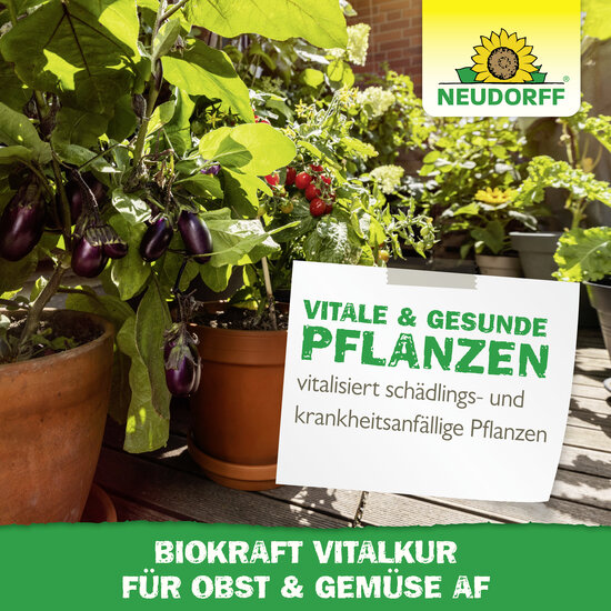 Neudorff BioKraft Vitalkur für Obst & Gemüse AF Sprechende Bilder Bild 6 Neudorff BioKraft Vitalkur für Obst & Gemüse AF Sprechende Bilder Bild 6
