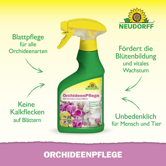 OrchideenPflege Sprechende Bilder Bild 2