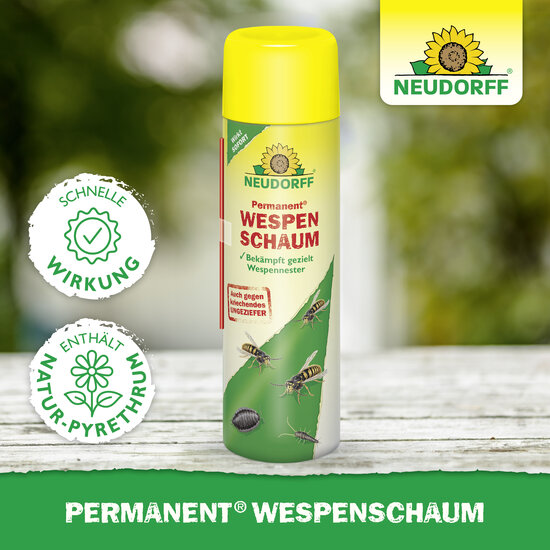 Permanent WespenSchaum Sprechende Bilder Bild 5