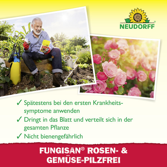 Fungisan Rosen- und Gemüse-Pilzfrei Sprechende Bilder Bild 4