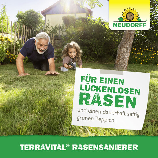 TerraVital RasenSanierer Sprechende Bilder Bild 7 TerraVital RasenSanierer Sprechende Bilder Bild 7
