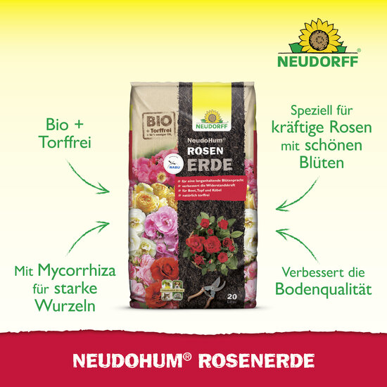NeudoHum RosenErde Sprechende Bilder Bild 2