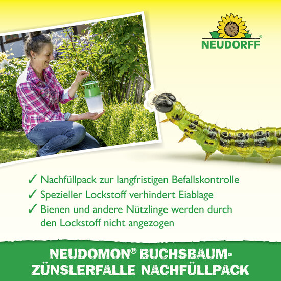 Neudomon BuchsbaumzünslerFalle Nachfüllpack Sprechende Bilder Bild 4