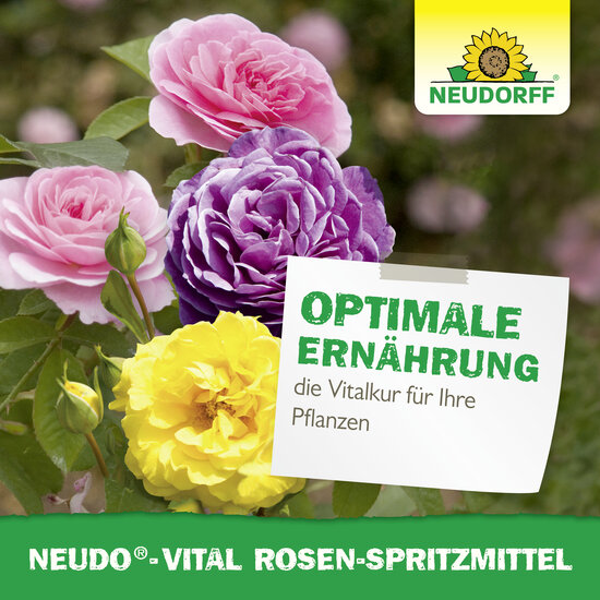 Neudo-Vital Rosen-Spritzmittel Sprechende Bilder Bild 6