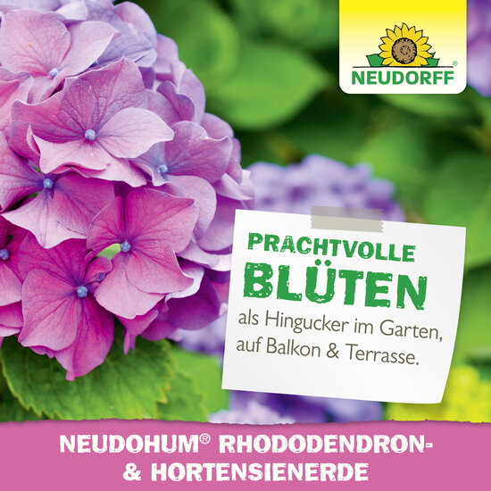 NeudoHum Rhododendron- & HortensienErde Sprechende Bilder Bild 7