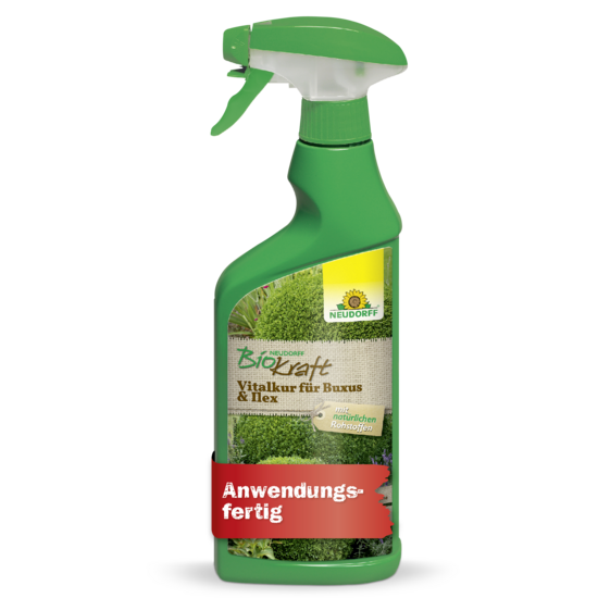 Neudorff BioKraft Vitalkur für Buxus & Ilex AF Sprechende Bilder Bild 1