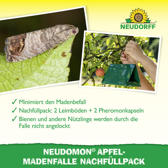 Neudomon ApfelmadenFalle Nachfüllpack Sprechende Bilder Bild 4