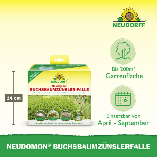 Neudomon BuchsbaumzünslerFalle Sprechende Bilder Bild 3
