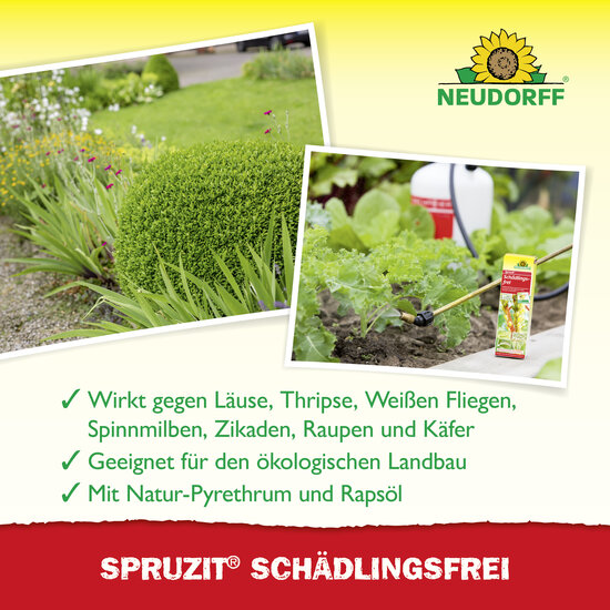 Spruzit Schädlingsfrei Sprechende Bilder Bild 4