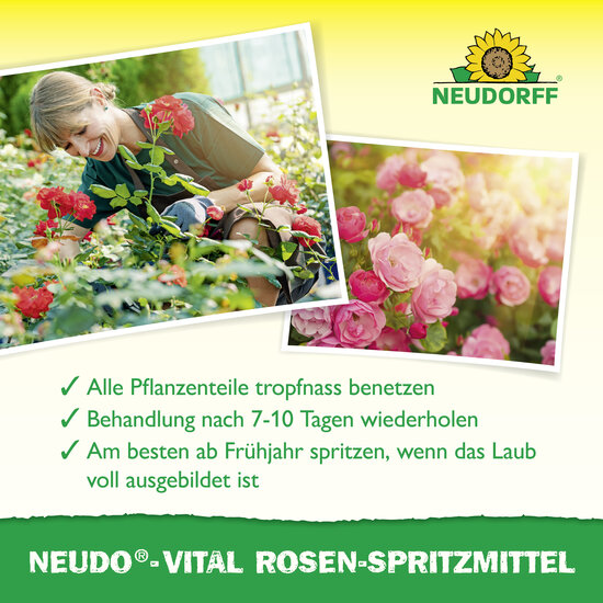 Neudo-Vital Rosen-Spritzmittel Sprechende Bilder Bild 4
