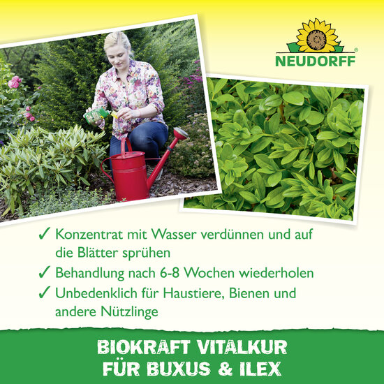 Neudorff BioKraft Vitalkur für Buxus & Ilex Sprechende Bilder Bild 4