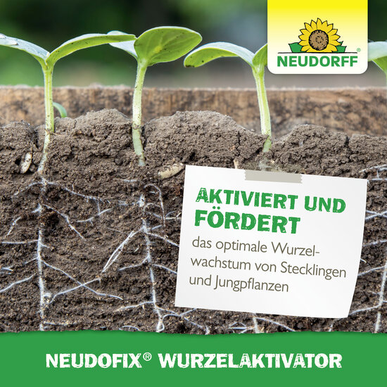 Neudofix WurzelAktivator Sprechende Bilder Bild 6