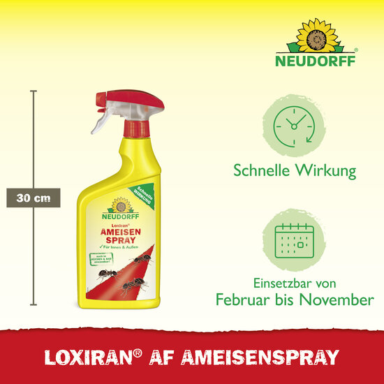 Loxiran AF AmeisenSpray Sprechende Bilder Bild 3