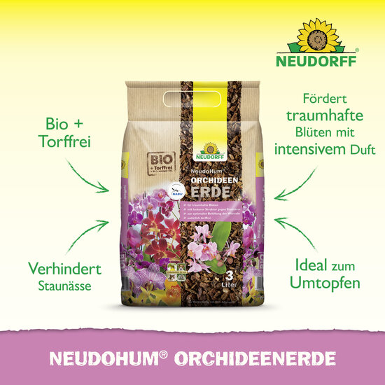 NeudoHum OrchideenErde Sprechende Bilder Bild 2 NeudoHum OrchideenErde Sprechende Bilder Bild 2