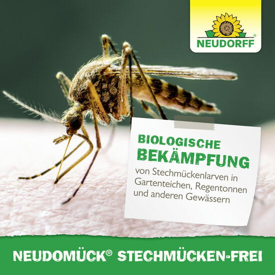 Neudomück Stechmücken-Frei Sprechende Bilder Bild 6