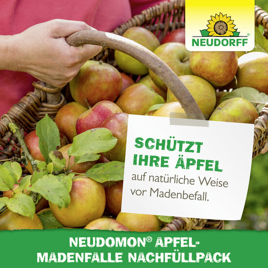 Neudomon ApfelmadenFalle Nachfüllpack Sprechende Bilder Bild 6