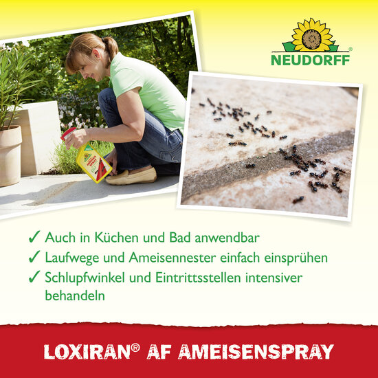 Loxiran AF AmeisenSpray Sprechende Bilder Bild 4