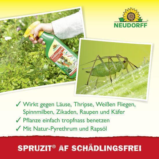 Spruzit AF Schädlingsfrei Sprechende Bilder Bild 4