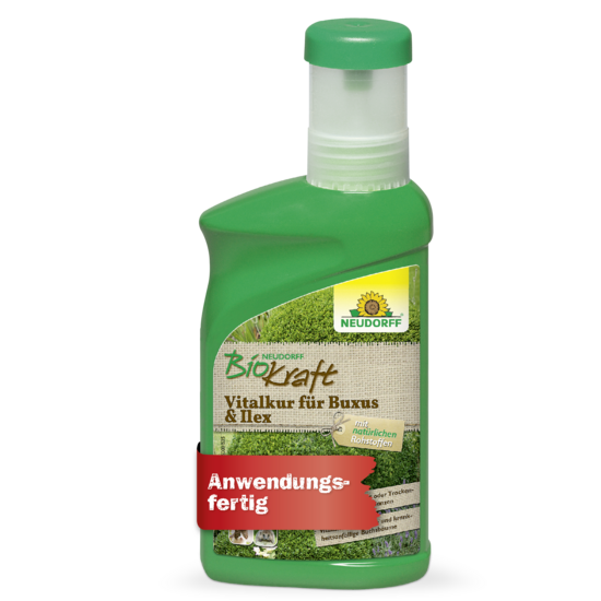 Neudorff BioKraft Vitalkur für Buxus & Ilex Sprechende Bilder Bild 1