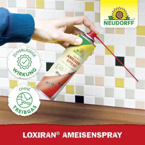 Loxiran Ameisenspray Sprechende Bilder Bild 5 Loxiran Ameisenspray Sprechende Bilder Bild 5