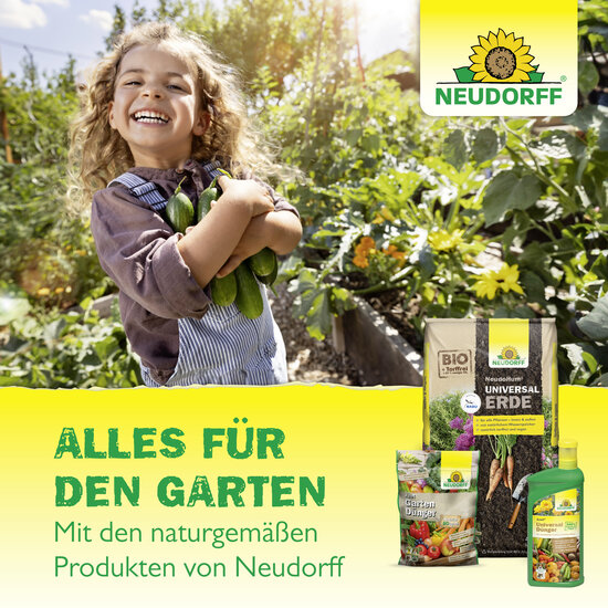 TeakPflegeÖl Sprechende Bilder