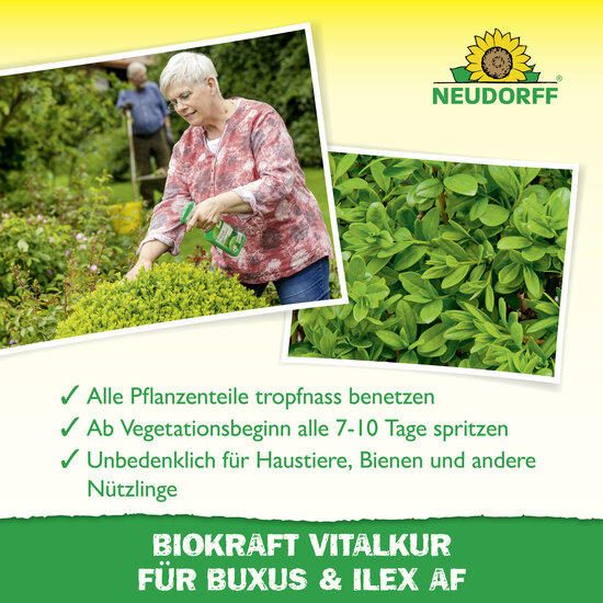 Neudorff BioKraft Vitalkur für Buxus & Ilex AF Sprechende Bilder Bild 4
