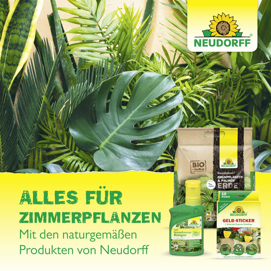 Spruzit TrauermückenFrei Sprechende Bilder