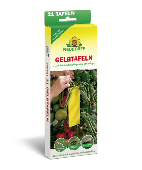 Gelbtafeln (kleinformatig)