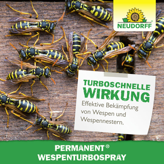 Permanent WespenTURBOSpray Sprechende Bilder Bild 6 Permanent WespenTURBOSpray Sprechende Bilder Bild 6
