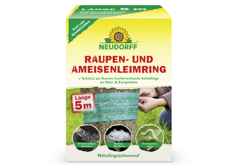 Raupen- und AmeisenLeimring