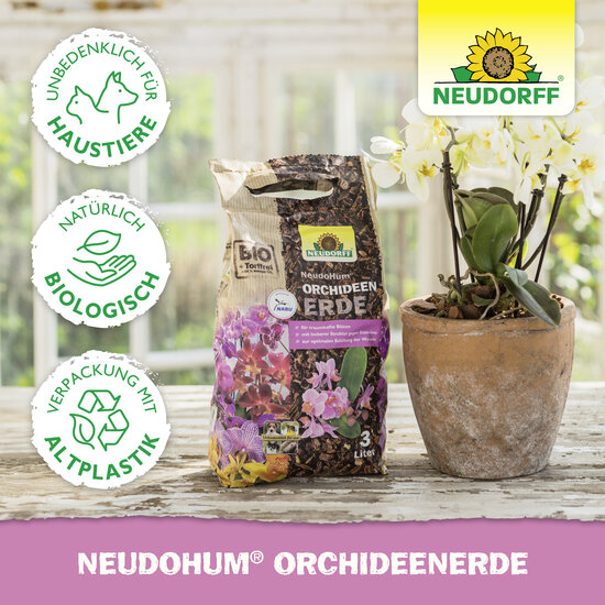 NeudoHum OrchideenErde Sprechende Bilder Bild 6 NeudoHum OrchideenErde Sprechende Bilder Bild 6