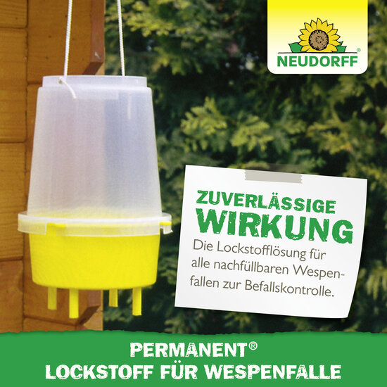 Permanent Lockstoff Wespen- & FliegenFalle Sprechende Bilder Bild 6 Permanent Lockstoff Wespen- & FliegenFalle Sprechende Bilder Bild 6