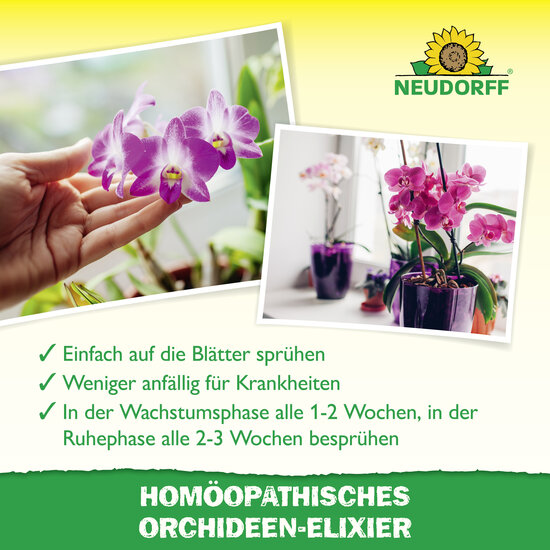 Homöopathisches Orchideen-Elixier Sprechende Bilder Bild 4