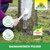 Baumanstrich Pulver Sprechende Bilder Bild 5 Baumanstrich Pulver Sprechende Bilder Bild 5