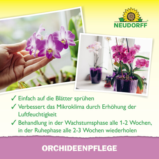 OrchideenPflege Sprechende Bilder Bild 4