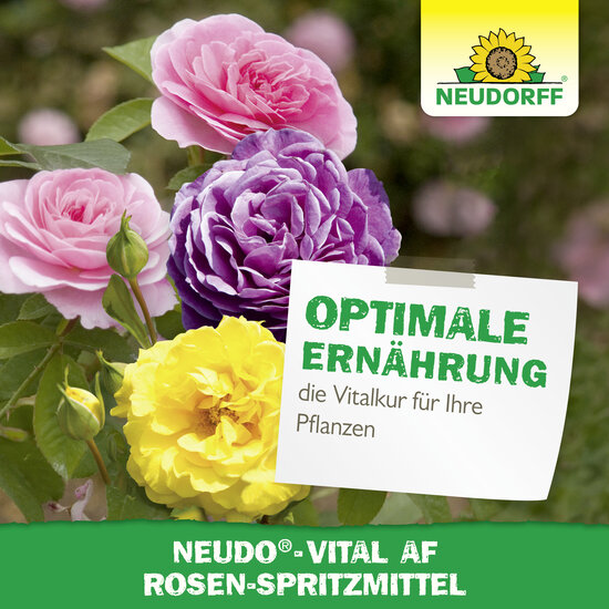 Neudo-Vital AF Rosen-Spritzmittel Sprechende Bilder Bild 6