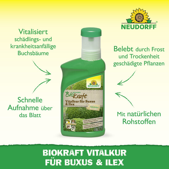 Neudorff BioKraft Vitalkur für Buxus & Ilex Sprechende Bilder Bild 2