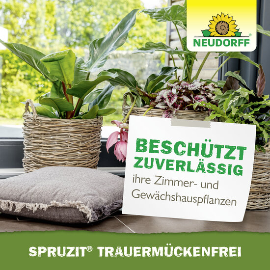 Spruzit TrauermückenFrei Sprechende Bilder Bild 6