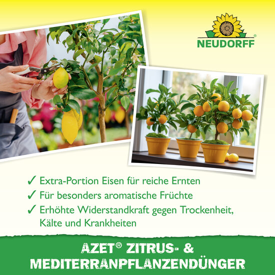 Azet Zitrus- & MediterranpflanzenDünger Sprechende Bilder Bild 4