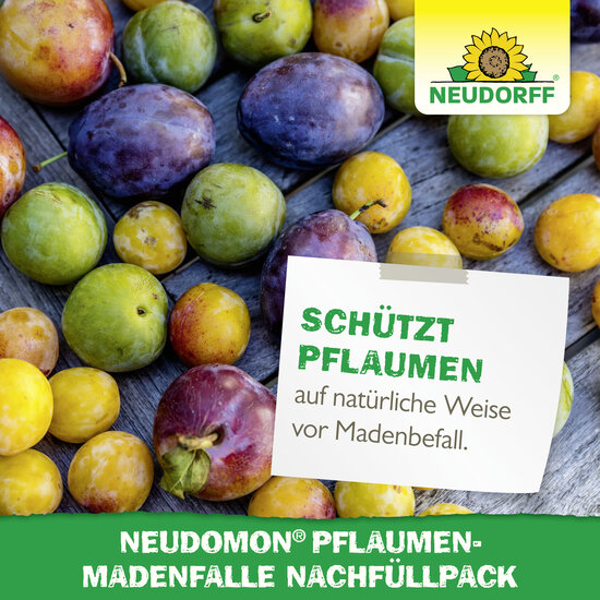 Neudomon PflaumenmadenFalle Nachfüllpack Sprechende Bilder Bild 6