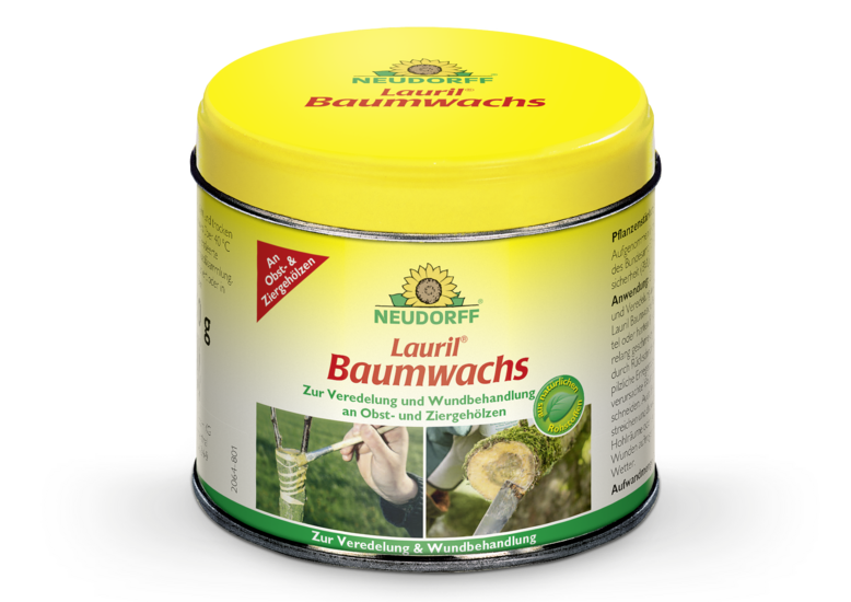 Lauril Baumwachs
