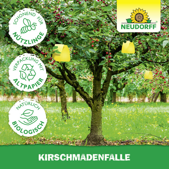 KirschmadenFalle Sprechende Bilder Bild 5 KirschmadenFalle Sprechende Bilder Bild 5