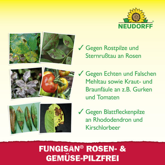 Fungisan Rosen- und Gemüse-Pilzfrei Sprechende Bilder Bild 5
