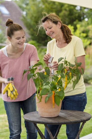 Bestell-Set_Nuetzlinge_gegen_Schadinsekten_CC-Florfliegen_0002.jpg