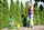Neudorff_BioKraft_Vitalkur_fuer_Koniferen_0001.jpg