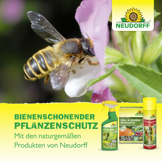 Spruzit AF Schädlingsfrei Sprechende Bilder Bild 7