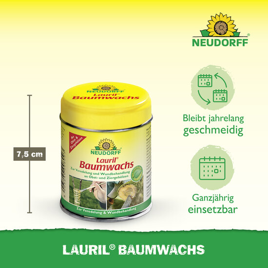 Lauril Baumwachs Sprechende Bilder Bild 3