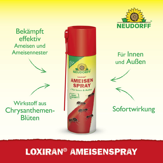 Loxiran Ameisenspray Sprechende Bilder Bild 2